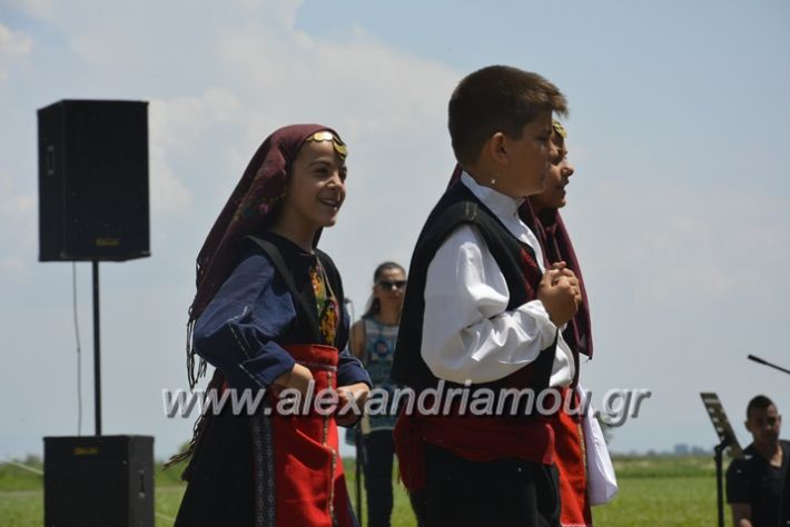 alexandriamou.gr_trikala28.5.2018147